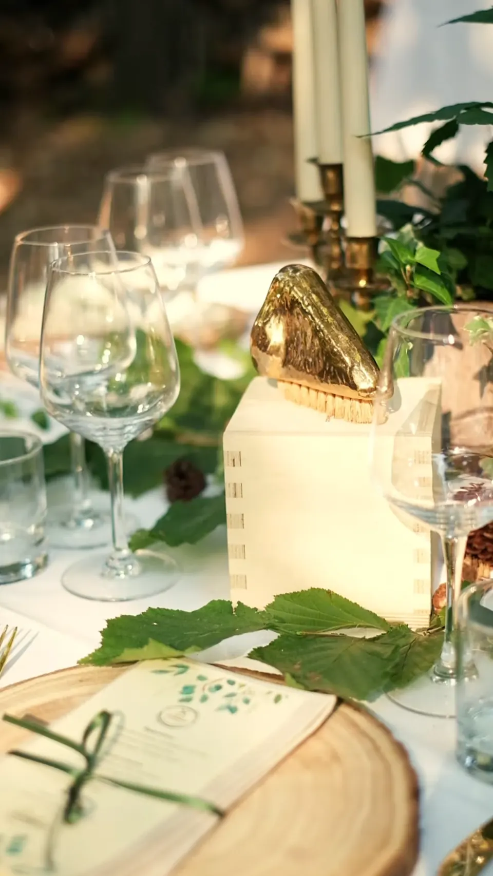 Video per l'evento Cena nel Bosco - immagine 1